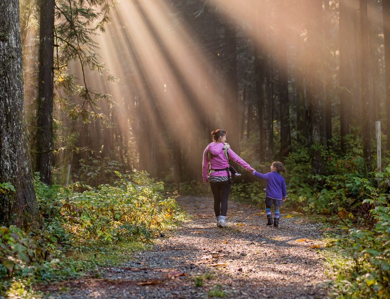 Cover Image for 6 Langkah Melatih Kemandirian Anak, Salah Satunya Harus Tegas | Beauty Moms